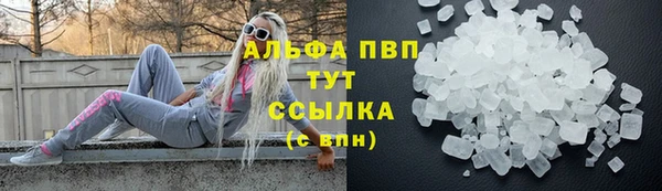 спиды Лагань