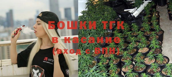 спиды Лагань