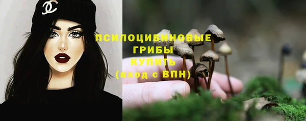 спиды Лагань