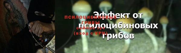 эйфоретик Лабытнанги