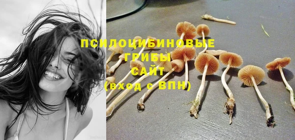 эйфоретик Лабытнанги