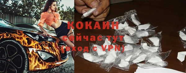 спиды Лагань