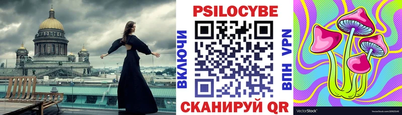 Купить где Грязи Псилоцибиновые грибы мицелий